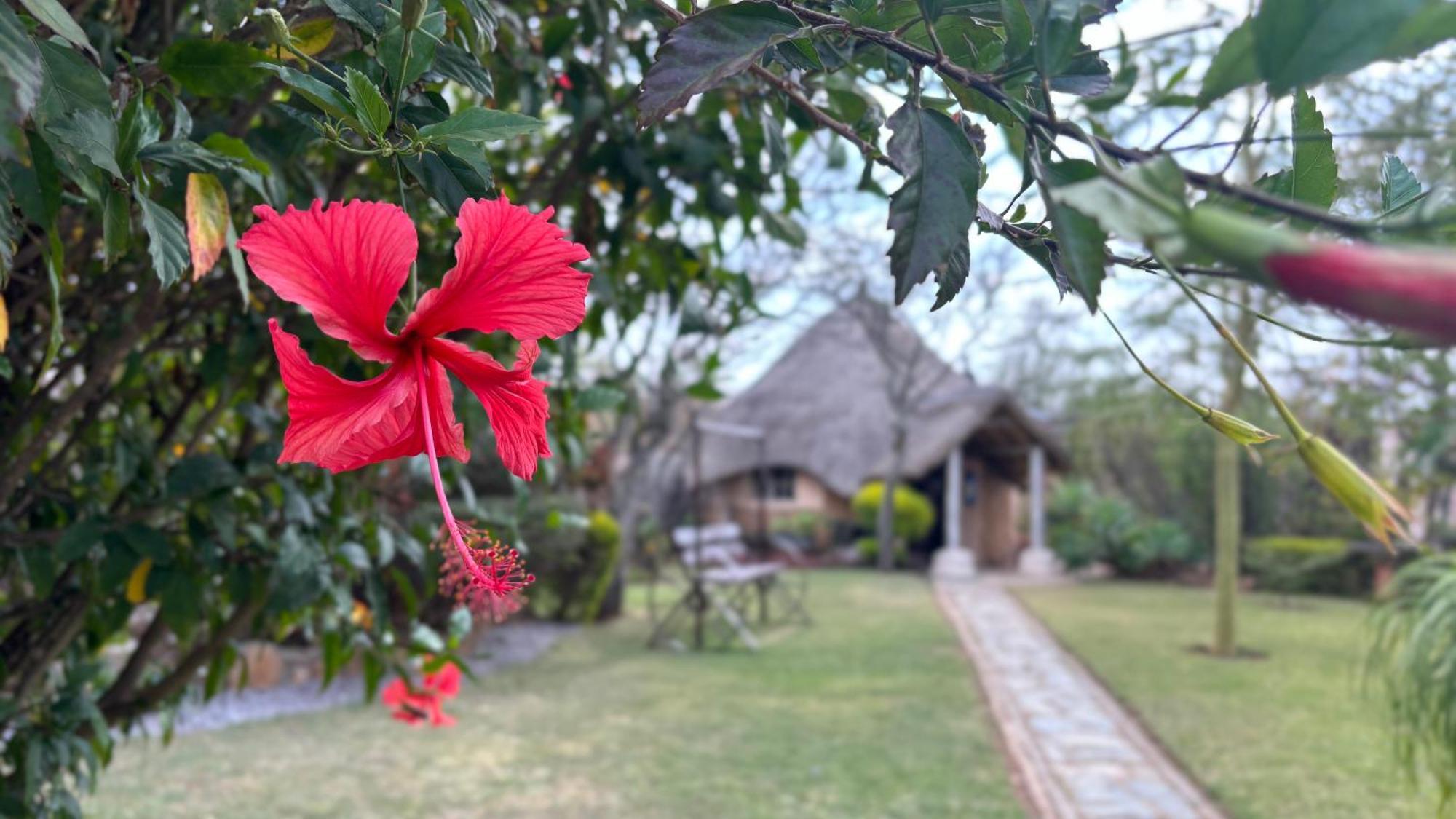 Lynns Guest House Bulawayo Zewnętrze zdjęcie