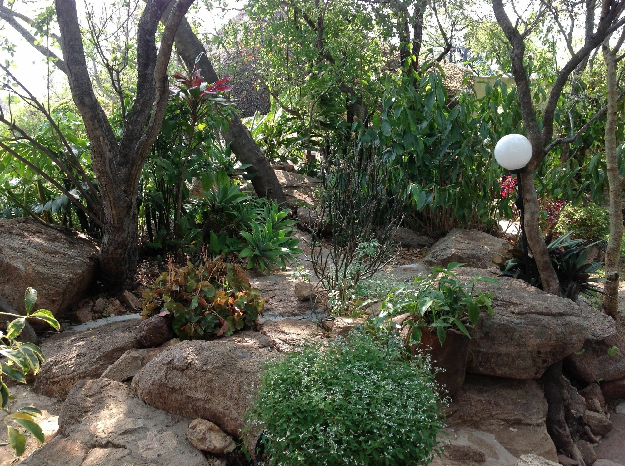 Lynns Guest House Bulawayo Zewnętrze zdjęcie